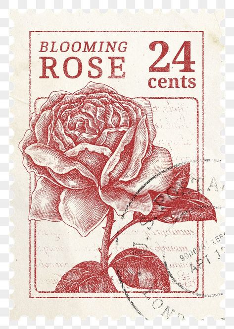 Vintage Postage Stamps Aesthetic, Pink Stamp Aesthetic, Red Stamp Png, Postage Stamp Vintage, Rose Postage Stamp Tattoo, Vintage Images Aesthetic, Vintage Stamp Illustration, Red Illustration Aesthetic, Collage Elements Png