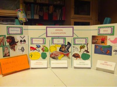 Animal Classification Lapbook Classifying Animals, Lap Book Templates, Elementary Stem Activities, Animal Report, Animal Classification, Stem Elementary, Primary Science, Teaching Second Grade, Hermit Crabs