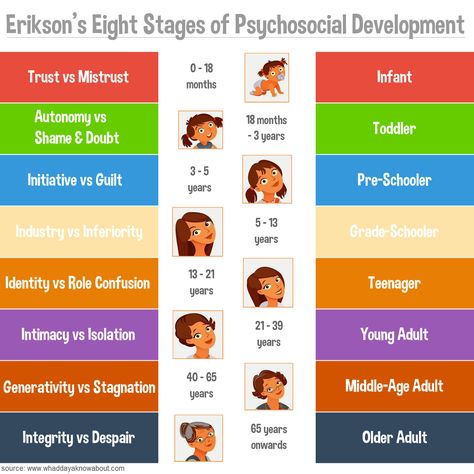 Erickson Stages Of Development, Eriksons Stages Of Development, Stages Of Psychosocial Development, Psychosocial Development, Social Work Exam, Child Development Theories, Human Growth And Development, Child Development Activities, Educational Theories