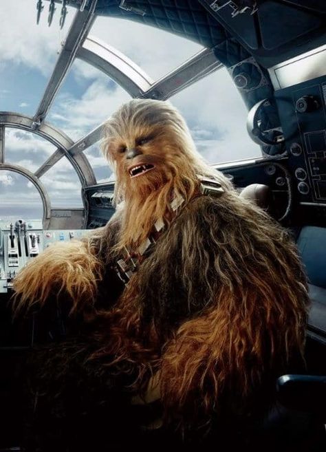 Chewbacca Is Really Hot And You Should Know This Chewbacca Wallpaper, Han Solo And Chewbacca, Cuadros Star Wars, Star Wars Chewbacca, Star Wars Tattoo, Star Wars Wallpaper, Star Wars Artwork, Star Wars Pictures, Star Wars Images