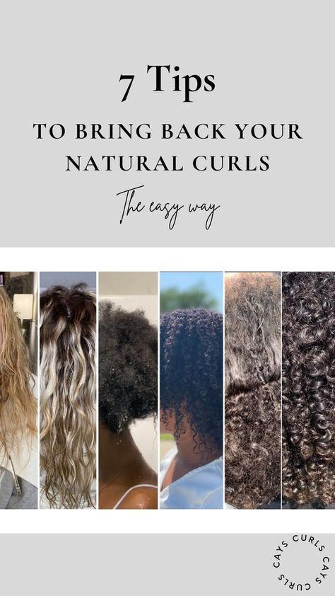 Nature, Defined Curls Natural Hair, Styling Braids, Curl Routine, Eva Hair, Hair Cleanser, Curl Cream, Natural Curls Hairstyles, Defined Curls