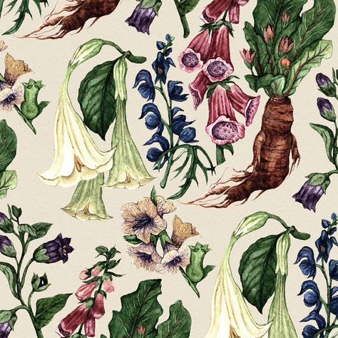 My Poison Garden illustration gets it's own pattern🖤 Poisonous plants fascinate me because of their long history of use as medicine. There are also really cool illustrations of human Mandrakes from a 15th century book you can find online. . #plantillustration #patterndesigner #patterndesign #poisongarden #poisonousplants #illustratorsofinstagram #illustrationartists #botanicaillustration #herbology Poisonous Flowers Aesthetic, Poison Plants, Cool Illustrations, Poison Garden, Garden Illustration, Poisonous Plants, Match Box, Long History, Plant Illustration