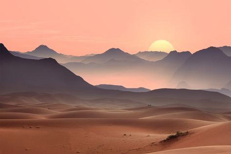 Desert Sunset Photography, Desert Sunset Painting, Desert Sunset Art, Desert Landscape Art, Sunset Desert, Desert Land, Sunset Rose, Desert Environment, Desert Colors