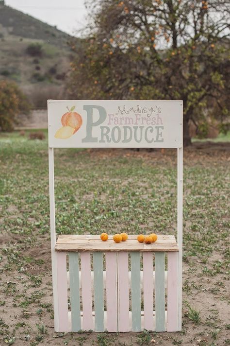 Today I am sharing the produce stand that I created for my Daughter's birthday Kids Market Stand, Kids Lemonade Stands, Farmers Market Birthday Party, Diy Lemonade Stand, Farmers Market Stand, Diy Lemonade, Pumpkin Stands, Kids Market, Produce Stand