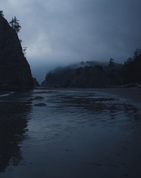 Blue Feelings Aesthetic, Nature, Trier, Blue Hour Forest, Blue Hour Rain, Grey Blue Aesthetic, Gray Hour, Blue Hour Aesthetic, Grey Hour