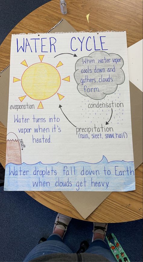 Water Cycle Chart Preschool, First Grade Weather Activities, 2nd Grade Science Lesson Plan, Water Cycle Anchor Chart 2nd Grade, Water Cycle Preschool Craft, Weather Cycle Preschool, Meteorologist Anchor Chart, Weather Activities For Third Grade, 2nd Grade Weather Unit