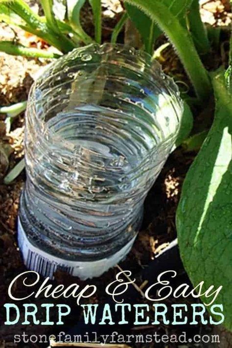 Slow Watering Plants Drip Irrigation, Diy Automatic Plant Waterer, Watering Garden Ideas, Garden Ideas Long, Self Watering Bottle, Diy Self Watering Planter, Plant Watering System, Garden Watering System, Self Watering Plants