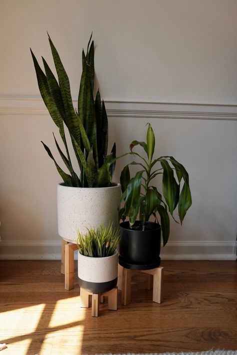 (paid link) Add a Touch of Greenery to Any Room with Plants Modern Interior Design With Plants, Living Room Plants Decor Small Spaces, Indoor Plant Corner, Hallway Plants, Home Plants Indoor, Bathroom Plants No Sunlight, Interior Plants Decoration, Plant Minimalist, Living Room Plants Decor