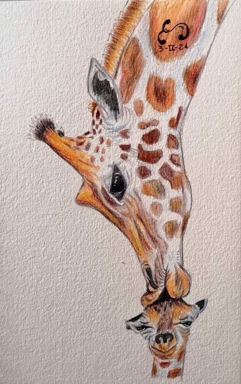 How To Paint A Giraffe, Giffafe Drawing, Girafe Drawings, Giraffe Drawing Realistic, Giraffe Art Drawing, Giraffe Painting Acrylic, Giraffe Drawings, Drawing And Painting Ideas, Draw Giraffe