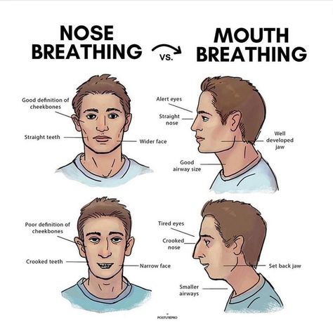 Are you a mouth or nasal breather! Your mouth is not designed to be the main inhalation route of the body. Mouth breathing is an inefficient way of optimizing respiration and delivering one of the essences of life - oxygen. Breathing chronically through the mouth sets you up to work harder and more associated with dysfunctional functions and risks of health issues. Mouth Breathing, Crooked Nose, Yoga Teacher Resources, Mouth Breather, Straight Nose, Crooked Teeth, Holistic Diet, Straight Teeth, Strong Back