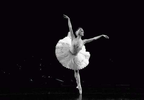 Ballerina Gif, Ballet Steps, Dance Gifs, Dance Movie, Ballet Gif, Ballet Pictures, Ballet Beauty, Ballet Inspiration, Dance Like No One Is Watching