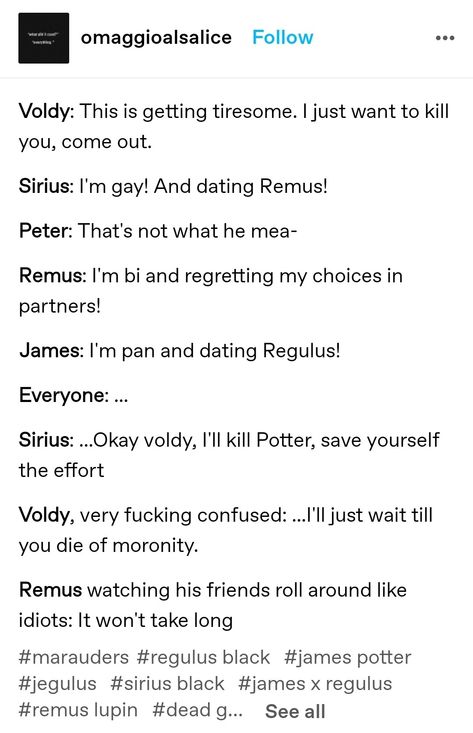 Marauders Comics Funny, The Marauders Incorrect Quotes, Mauraders Text Posts, Jegulily Headcanons, Regulus Headcannons, Jegulily Fan Art, Harry Potter Incorrect Quotes, Marauders Quotes, Marauders Headcanons