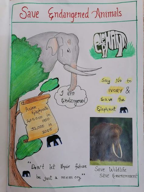 Poster On Endangered Animals, Endangered Animals Craft, Save Endangered Animals Poster, Animal Poster Board Project, Poster On Wildlife Conservation, Save Wildlife Poster Ideas, Save Wildlife Poster Painting, Poster On Save Wildlife, Endangered Animals Poster