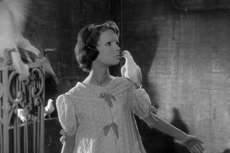 Vintage Horror, Sci Fi Films, Pigeon Eyes, 1960s Movies, Eyes Without A Face, Black And White Movie, French Films, Fright Night, Sci Fi Movies