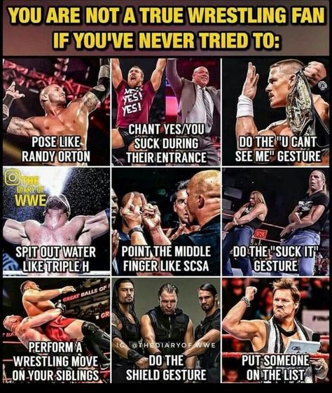 Humour, Wwe Quotes, Wwe Facts, Shield Wwe, Wrestling Memes, Wwe Funny, The Shield Wwe, No Lie, Watch Wrestling