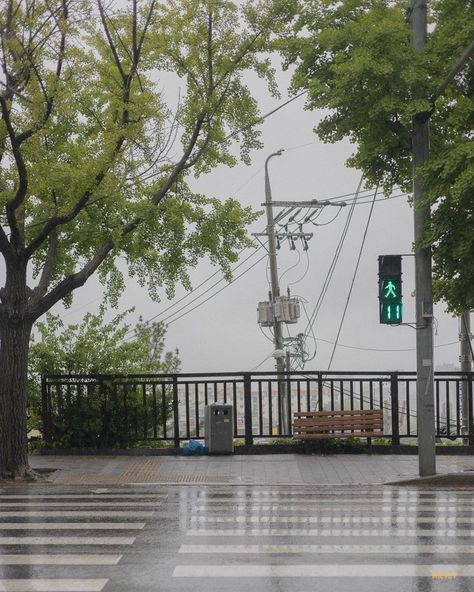 Korea rainy day Nature, Rainy Day Japan Aesthetic, Rainy Korean Aesthetic, Rain Japan Aesthetic, Rainy Japan Aesthetic, Korea Rain Aesthetic, Rainy Day Aesthetic City, Korea Nature Aesthetic, Rainy Summer Aesthetic