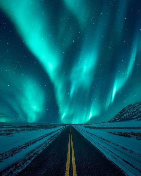 Aroura Borealis Wallpaper, Aurora Borealis Tattoo, Aurora Borealis Alaska, Aurora Borealis Painting, Aurora Borealis Art, Northern Lights Photography, Aurora Sky, Northen Lights, Northern Lights Painting