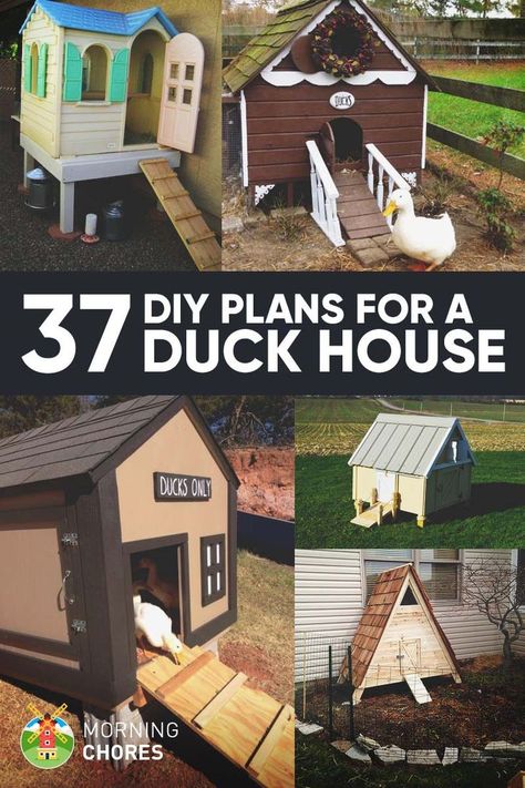 Diy Duck House, Wood Duck House, Duck House Plans, Duck Pens, Backyard Ducks, Duck Coop, Chicken Barn, Duck Farming, Raising Ducks