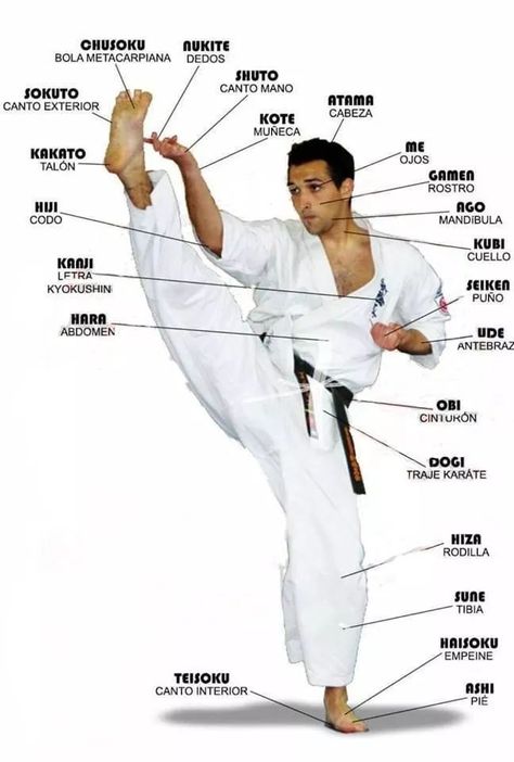 Karate Techniques, Karate Photos, Karate Quotes, Japanese Karate, Karate Shotokan, Black Belt Karate, Karate Kata, Mixed Martial Arts Training, Kyokushin Karate