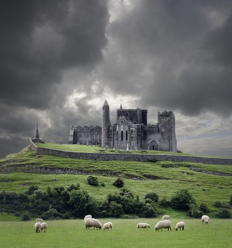 Cashel Ireland, Rock Of Cashel, Tipperary Ireland, Ross Castle, Boldt Castle, County Sligo, Hohenzollern Castle, Belfast City, Irish Countryside