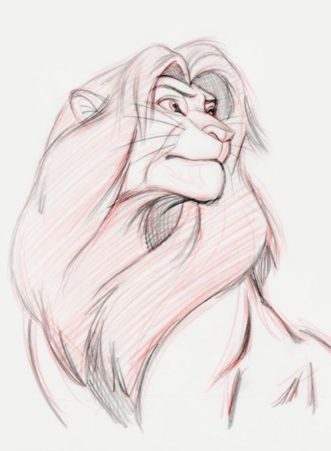 Lion King Drawing Sketches, Sketches Of Disney Characters, Lion King Sketches, Drawing Lion King, The Lion King Drawing, Lion King Drawing, Simba Drawing, Lion Drawings, Disney Character Sketches