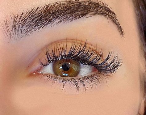 Popular Lash Extensions Styles, Lash Extensions For Protruding Eyes, Light Natural Eyelash Extensions, Classic And Hybrid Lash Extensions, Light Hybrid Wispy Eyelash Extensions, Natural Classic Eyelash Extensions, Lash Extensions For Deep Set Eyes, Eyelash Extensions Long Wispy, Lash Extension Almond Eyes