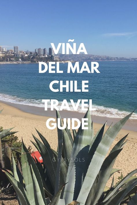 Vina Del Mar Chile, Seaside City, Backpacking South America, Vina Del Mar, Chile Travel, Backpacking Asia, Travel Bucketlist, Travel Route, Travel Pics