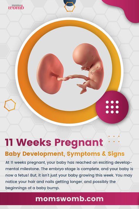 11 weeks Pregnant Sleeping Issues, 9 Weeks Pregnant, 11 Weeks Pregnant, 12 Weeks Pregnant, Pregnancy Week, Developmental Milestones, Pregnancy Signs, Sleep Issues, Weeks Pregnant