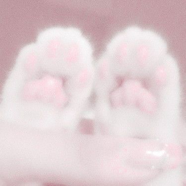 Bunny Paws Pink, Kitty