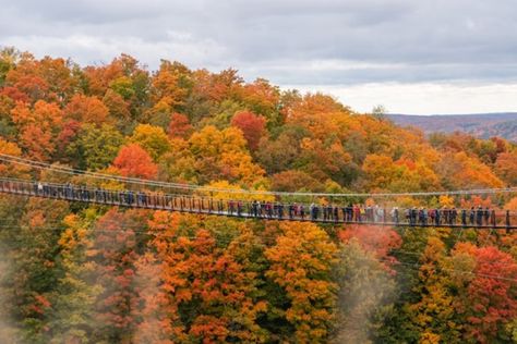 Boyne Mountain Resort, Boyne Mountain, Michigan Road Trip, Cross Country Road Trip, Pedestrian Bridge, Suspension Bridge, Smoky Mountain National Park, Traverse City, Pure Michigan