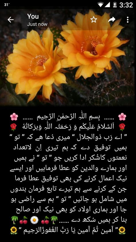 Dua In Urdu, Good Morning Messages, Morning Messages, Saved Items, Good Morning Images, Morning Images