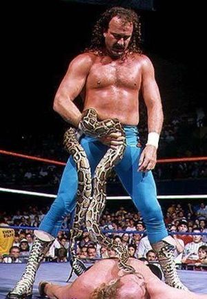 Wcw Wrestlers, Santino Marella, Jake The Snake, Jake The Snake Roberts, Match Three, Professional Wrestlers, Andre The Giant, Shawn Michaels, Steve Austin