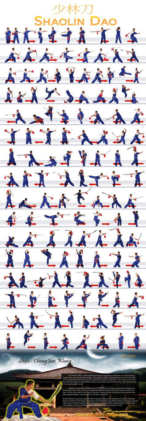 Wushu Shaolin - Sword                                                                                                                                                                                 Mais Fighting Styles, Marshal Arts, Trening Sztuk Walki, Shaolin Kung Fu, Kung Fu Martial Arts, Art Of Fighting, Self Defense Martial Arts, Pencak Silat, Self Defense Techniques