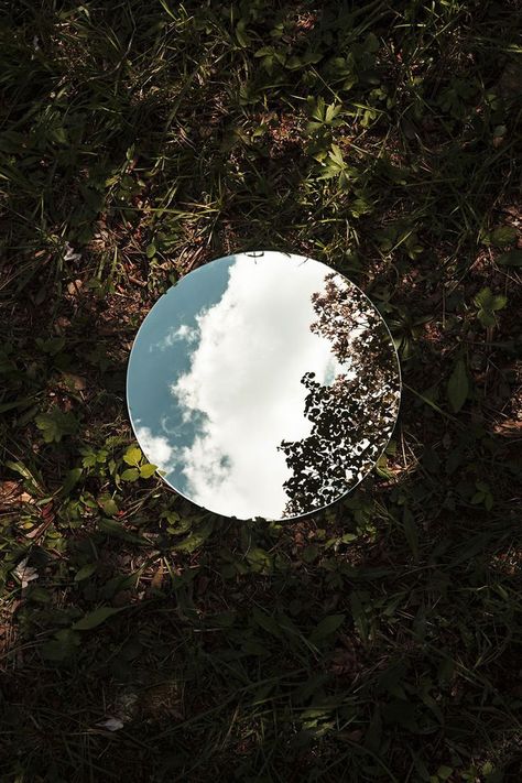 Wild nature | Reflections | Mirror in nature Reflective Photography Ideas, Sebastian Magnani, Reflective Photography, Mirror Minimalist, Elements Photography, Reflection Mirror, Contrast Photography, Mirror Photography, Minimalist Bedroom Decor