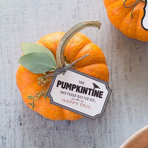Tie-On Pumpkin Tag Crafts For Halloween, Halloween Pumpkin Crafts, Paper Pumpkin Craft, Halloween Pumpkin Diy, Pumpkin Pillow, Marketing Gift, Pumpkin Gift, Creative Pumpkins, Pumpkin Pillows
