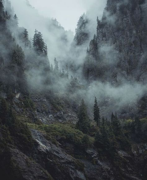 Take Magazine on Instagram: “Shot by @shreddin_kevin” Dark Mountains, Dark Naturalism, Dark Forest Aesthetic, Mountain Aesthetic, Mountains Aesthetic, Mountain Pictures, Foggy Mountains, Mystical Forest, Foggy Forest