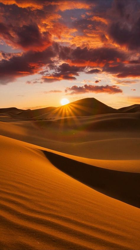 Desert Pictures, Timur Tengah, Desert Aesthetic, Deserts Of The World, Desert Photography, 강아지 그림, Desert Landscaping, Nature Wallpaper, Pretty Wallpapers