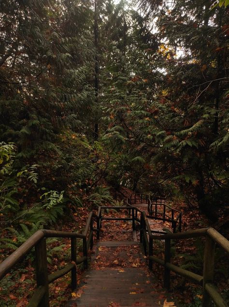 fall|trail|aesthetic Nature, Woods Trail Aesthetic, Running Trail Aesthetic, Hiking Trail Aesthetic, Trail Running Aesthetic, Fall Hiking Aesthetic, Trail Aesthetic, Hike Aesthetic, Trail Food