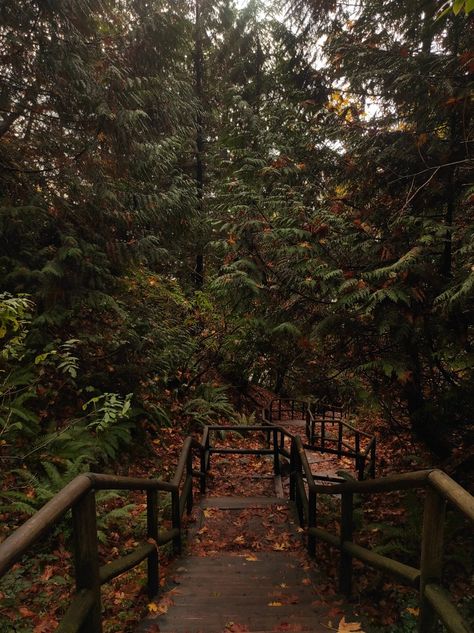 fall|trail|aesthetic Nature, Autumn Running Aesthetic, Strange Trails Aesthetic, Running Trail Aesthetic, Fall Fitness Aesthetic, Fall Running Aesthetic, Hiking Trail Aesthetic, Trail Running Aesthetic, Fall Hiking Aesthetic