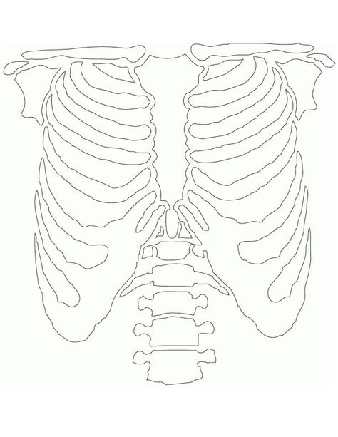 Rib Cage Drawing, Cage Drawing, Diy Halloween Skeleton, Halloween Coordinate, Halloween Skeleton Costume, Diy Skeleton, Bleaching Clothes, Cut Shirt Designs, Tracing Art