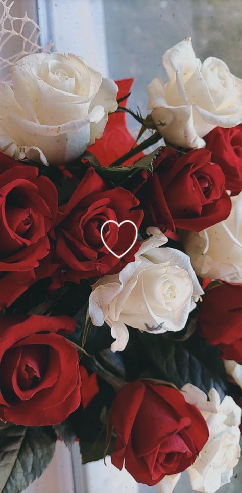 Pr Unboxing, Roses For Her, Beautiful Moon Pictures, Iphone Wallpaper Cat, Red Roses Wallpaper, Heart Overlay, طابع بريدي, Flower Box Gift, Nothing But Flowers