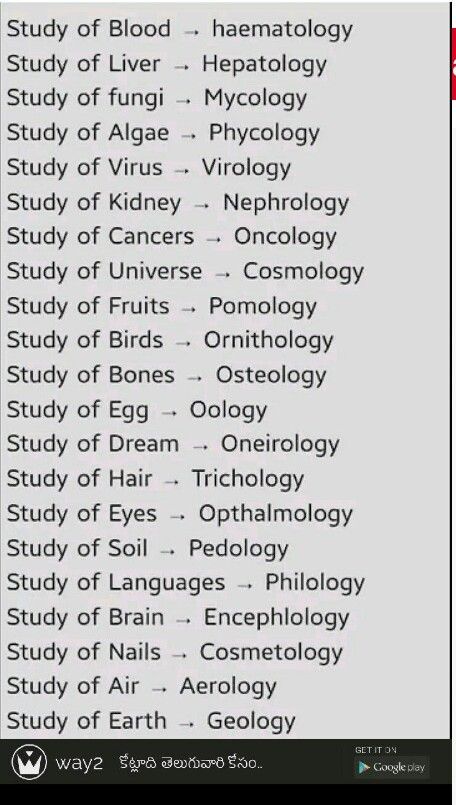 अंग्रेजी व्याकरण, Tatabahasa Inggeris, Sms Language, Biology Facts, Study Flashcards, Essay Writing Skills, Science Notes, General Knowledge Book, Learn Facts