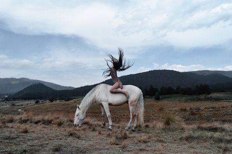 White Horse Aesthetic, Moon In Sagittarius, Full Moon In Sagittarius, Woman Riding Horse, Free Horses, Horse Wallpaper, Elephant Journal, Horse Aesthetic, All About Horses