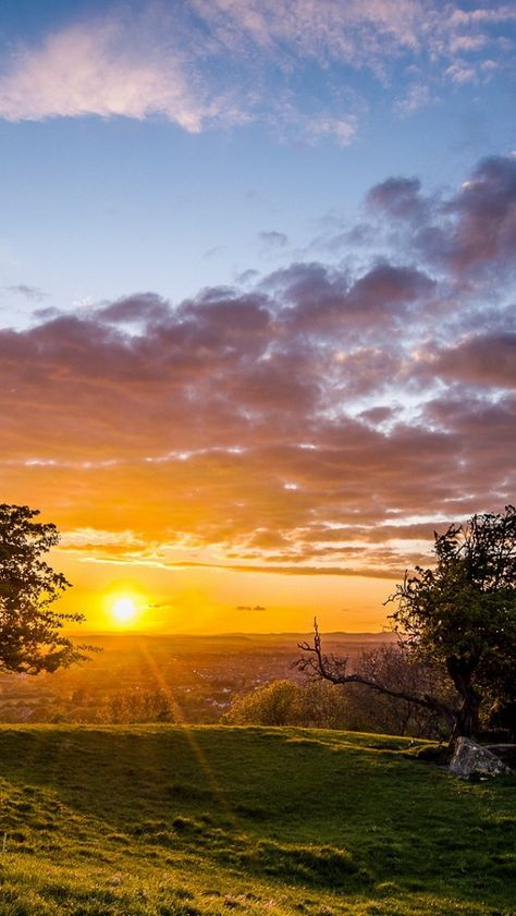 Nature, Beautiful Nature Landscape, Sunset Trees, Wallpaper Sunset, Summer Nature Photography, Trees Landscape, Mystical Places, Scenic Photography, Sky View