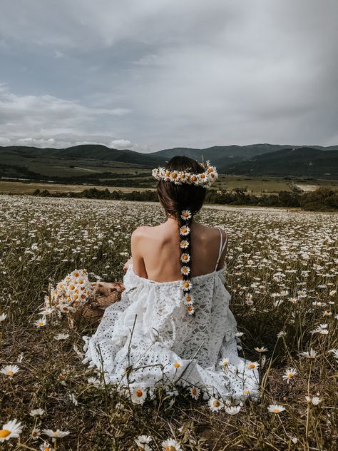 Margaritas, Chamomile Photoshoot, Daisy Field Photoshoot, Daisies Photoshoot, Daisy Photoshoot, Daisy Core, Chamomile Field, Daisy Crown, Boho Photoshoot