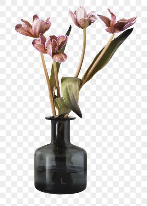 Leipzig, Aesthetic Room Decor Png, Vase Flowers Decor, Flower Png Aesthetic, Vase Reference, Room Decor Png, Plants In Vase, Interior Plants Decoration, Vase With Plant