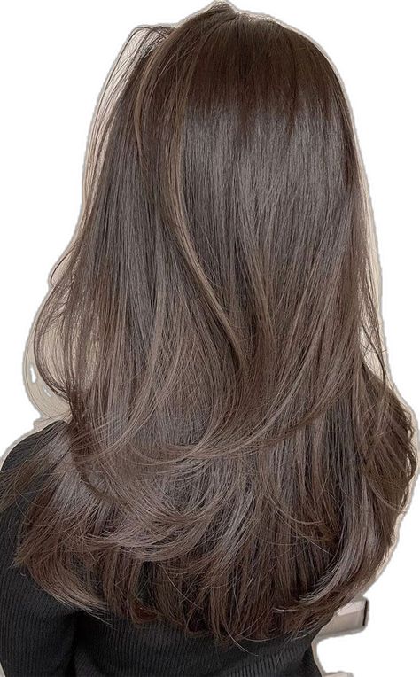 Layer Panjang, Brown Layered Hair, Brunette Hair Cuts, Winter Hair Color Ideas, Hair Inspiration Long, Korean Winter, Layered Haircuts For Medium Hair, Brown Hair Looks, Brown Hair Inspo