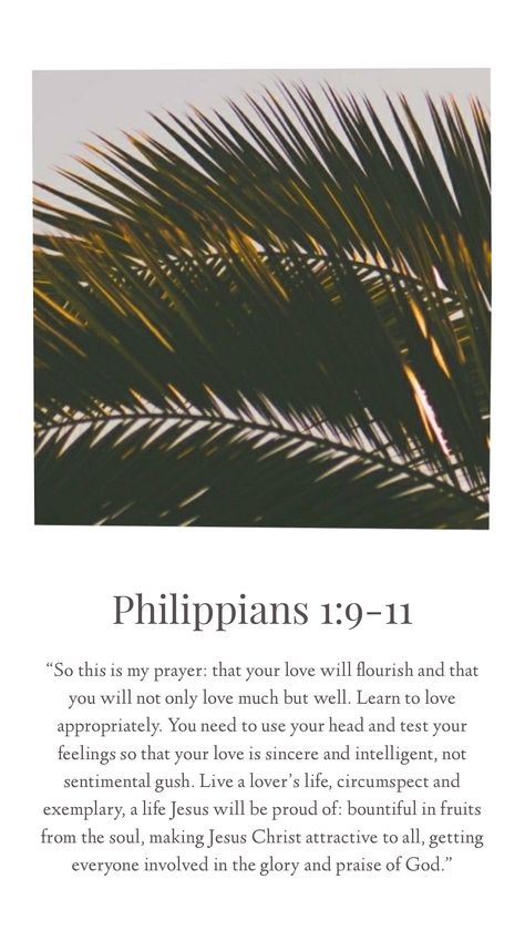 Philipians 4 4-9, 2024 Word, Philipians 4, Philippians 4 11, Philippians 1, Bible Cards, Philippians 1 6, Motivational Bible Verses, Bible Quotes Wallpaper