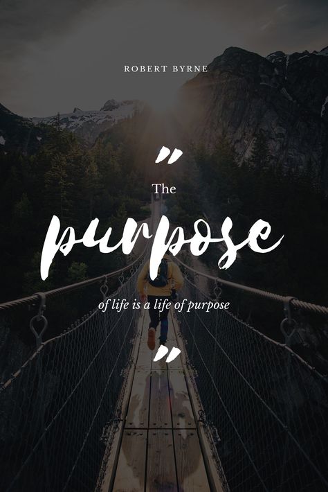 The purpose of life is a life purpose.. Inspiartional life quote to get you intouch with your higher self Curiculum Vitae, Life Purpose Quotes, Life Captions, Indian Proverbs, Diy Home Office, Purpose Quotes, Strong Heart, Save Your Soul, The Purpose Of Life