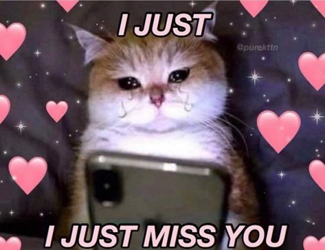 Miss You Images Cute, Memes Text, I Miss You Meme, I Miss You Cute, Meme Chat, Just Missing You, I Just Miss You, Love You Meme, Wholesome Pictures